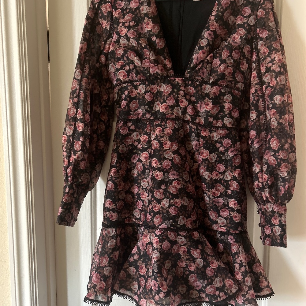 Keepsake Rose print dress